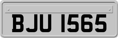 BJU1565