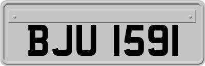 BJU1591