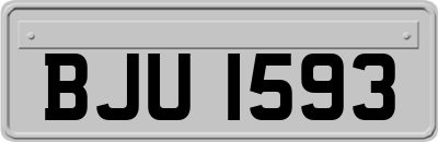 BJU1593