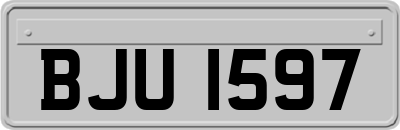 BJU1597