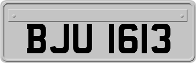 BJU1613