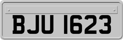 BJU1623