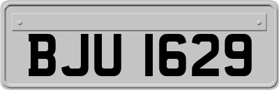 BJU1629