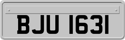 BJU1631