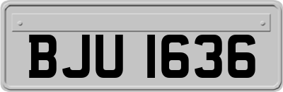 BJU1636