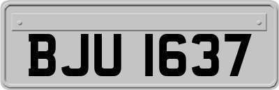 BJU1637