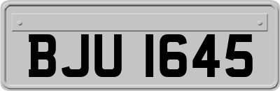 BJU1645