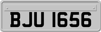 BJU1656