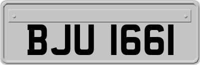 BJU1661