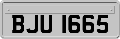 BJU1665