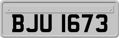 BJU1673