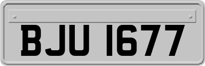 BJU1677