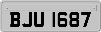 BJU1687
