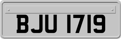 BJU1719