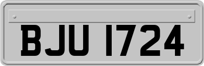 BJU1724