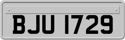 BJU1729