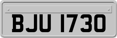 BJU1730