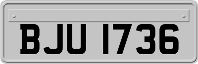BJU1736