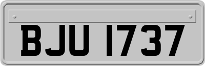 BJU1737