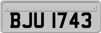 BJU1743
