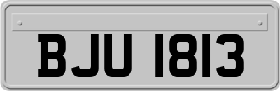 BJU1813