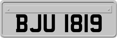 BJU1819