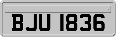 BJU1836