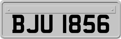 BJU1856