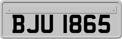 BJU1865