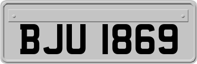 BJU1869