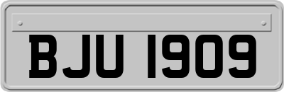 BJU1909