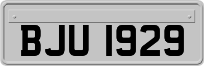 BJU1929
