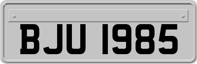 BJU1985