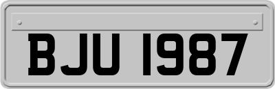 BJU1987