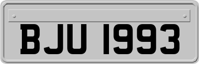 BJU1993