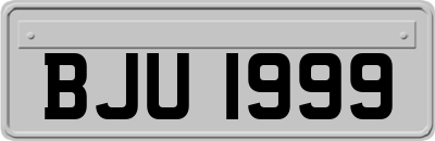 BJU1999