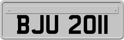BJU2011