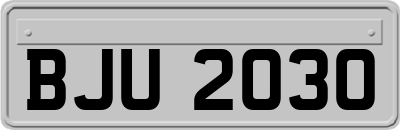 BJU2030