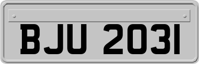 BJU2031
