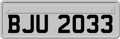 BJU2033