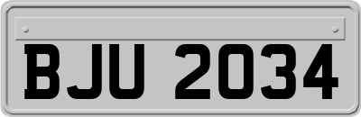 BJU2034