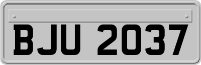 BJU2037