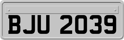 BJU2039