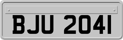 BJU2041