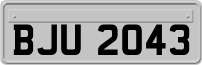 BJU2043