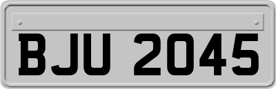BJU2045
