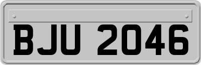 BJU2046