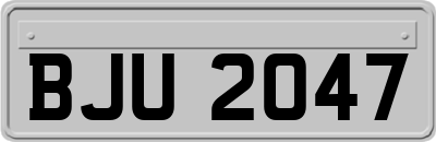 BJU2047