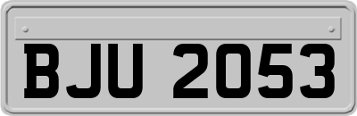 BJU2053