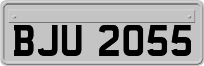 BJU2055